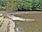 Rocks and Riffles along the Dan River