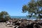 Rocks, rockpools and trees with blue sea in background.