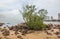 Rocks, sand, plants, beach and the sea in a holiday paradise