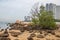 Rocks, sand, plants, beach and the sea in a holiday paradise