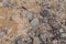Rocks and Sand Texture - Ytri Tunga