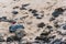 Rocks in the sands of Ondina beach on a sunny day