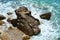 Rocks and sea background, in Piombino, Livorno, landscape