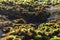 Rocks by the sea, with green algae and marine life. Estoril beach. Portugal