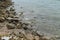 Rocks on a Seashore Encrusted with Barnacles