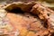 Rocks of Serra da Capivara, Piaui, Brazil