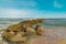 Rocks on Shell Island in Georgetown, South Carolina