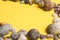 rocks and shells on a yellow background .Marine theme
