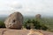 Rocks and Sigiriya - The Lion Rock-, as seen from Pidurangala Rock.