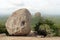 Rocks and Sigiriya - The Lion Rock-, as seen from Pidurangala Rock.