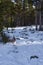 Rocks and snow on a trail in the Bighorns