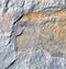 rocks stone and red orange gneiss in the wall of morocco