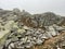 Rocks and stones in the autumn Swiss Alpine environment and in the St. Gotthard pass Gotthardpass mountain area, Airolo