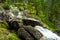 Rocks and stones in the waterfalls of the stream of the green forest