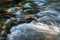 Rocks in stream with smooth flowing water