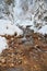 Rocks in a stream in Winter, with puffy white snow all around, in Piatra Mare mountains, Brasov county, Romania