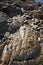 Rocks with Striations and Grooves at Sand Beach, Acadia National Park