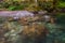 Rocks in Swimming Hole in Brice Creek