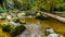 Rocks, trees and boulders in the Salmon habitat of the fast flowing Kanaka Creek