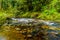 Rocks, trees and boulders in the Salmon habitat of the fast flowing Kanaka Creek