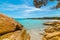 Rocks and trees in Capriccioli beach