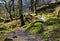 Rocks and trees covered in moss strewn along the Watkins Path Snondon