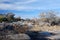 Rocks and trees in dried up Okonjou riverbed