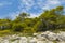 Rocks and the trres landscape