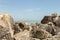 Rocks At Turakirae Coast