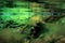 Rocks underwater on riverbed covered with green algae