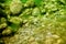 Rocks underwater on riverbed covered with green algae