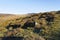 Rocks and unfinished millstones lie on Burbage Edge