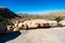 Rocks and Valley landscapt in Joshua Tree