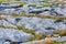 Rocks and vegetation on Doolin beach, county Clare, Ireland