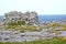 Rocks and vegetation on Doolin beach, county Clare, Ireland