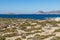 Rocks and vegetation in Mytakas beach