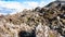 rocks on volcanic slope at Laugahraun lava field