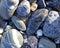Rocks Water for Background. Pebble Stones Close-up. Abstract Background with Round Pebble Stones. High Quality Photo