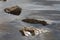 Rocks in water with reflections