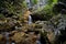 Rocks in waterfall in the Barenschutzklamm: Mixnitz - Austria. Popular tourist destination