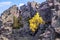 Rocks of the Yalangas ridge in the South Urals in the Republic of Bashkortostan a  day
