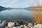 Rocks and yellow branches of shrub with calm lake and snow covered mountains in distance in early spring