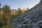 Rockslide and Larch Trees in Yoho National Park