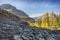 Rockslide and Larch Trees in Yoho National Park