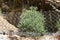 Rockslide ring barrier net, with a ring design protects against rockslides, Sonora County, CA.