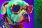 Rockstar dog Elton John style