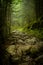 Rocky Appalachian Trail in Fog