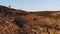 Rocky area in old mountains - Macin Mountains - Romania