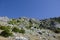 Rocky and arid terrain, with many bushes