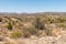 Rocky Arizona desert